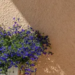 Skyline View Suites-nue Guest house Sassari