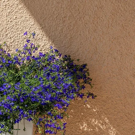 Nue Guest house Sassari