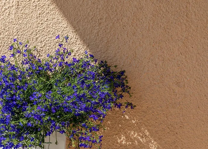 Nue Casa de hóspedes Sássari