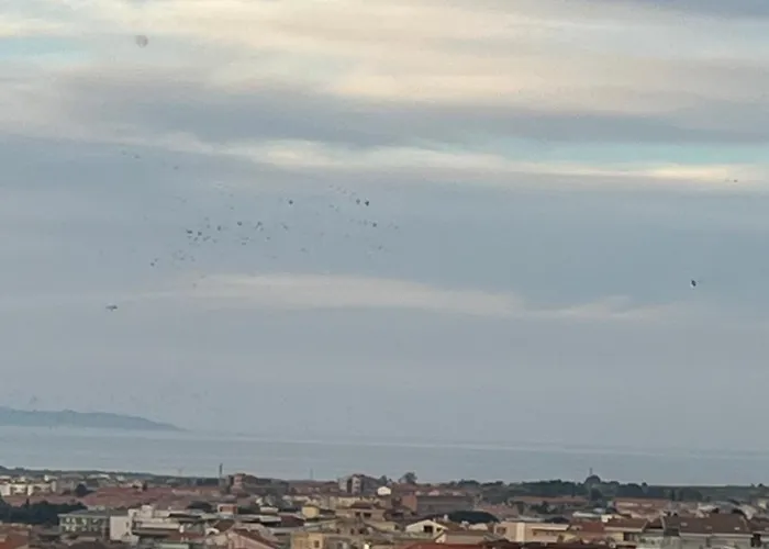 Casa de hóspedes Nue